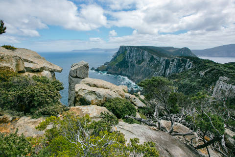 Photograph of vegetation and rock formations on a clifftop