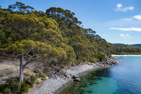 Photograph of trees on the water's edge