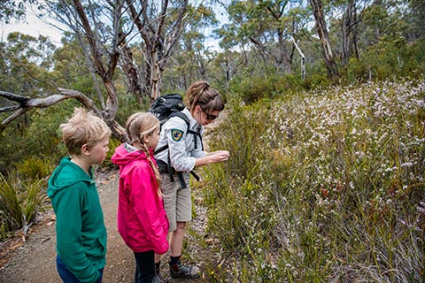 Photograph of a ranger teaching children about vegetation